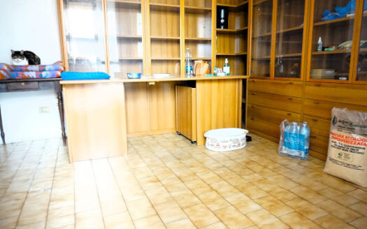 Chignolo d’Isola Introvabile pentalocale di 150mq con terrazzo vivibile di ben 85mq