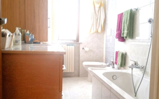 Mozzo- Splendido trilocale con box doppio