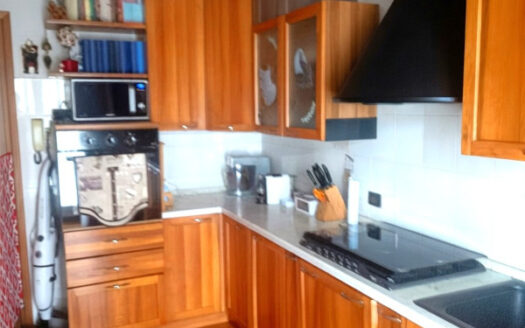 Mozzo- Splendido trilocale con box doppio